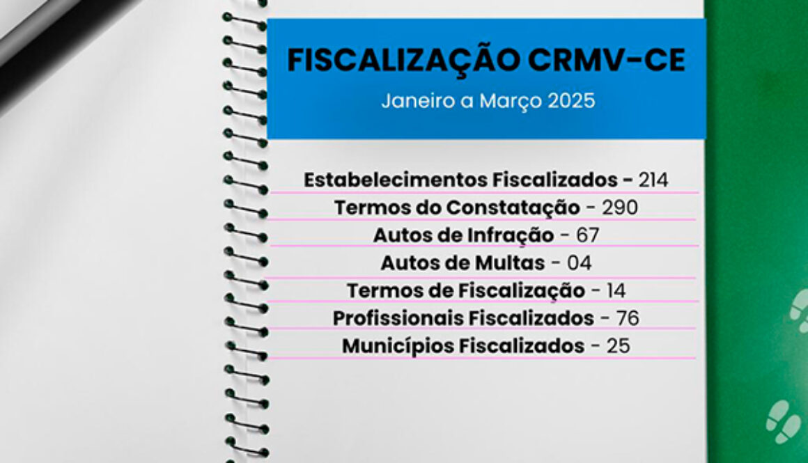 fiscalização